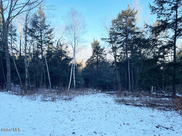 L29 Mountain Crest Road Warnerville NY 12187