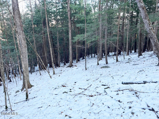 L29 Mountain Crest Road Warnerville NY 12187