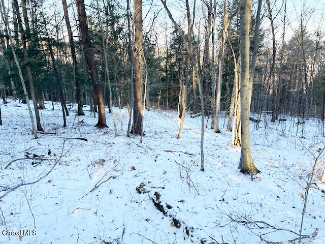 L29 Mountain Crest Road Warnerville NY 12187