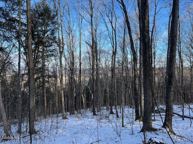 L29 Mountain Crest Road Warnerville NY 12187