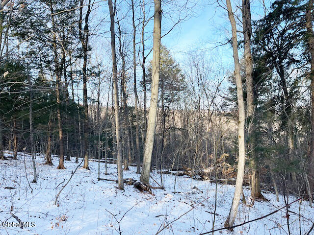 L29 Mountain Crest Road Warnerville NY 12187