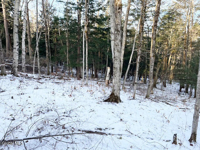 L29 Mountain Crest Road Warnerville NY 12187