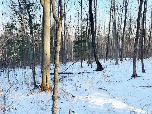 L29 Mountain Crest Road Warnerville NY 12187