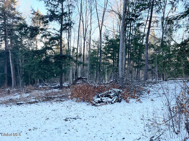 L29 Mountain Crest Road Warnerville NY 12187