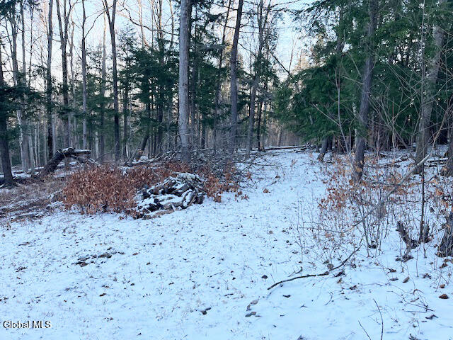 L29 Mountain Crest Road Warnerville NY 12187