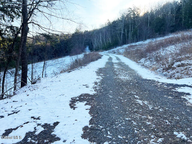 L29 Mountain Crest Road Warnerville NY 12187