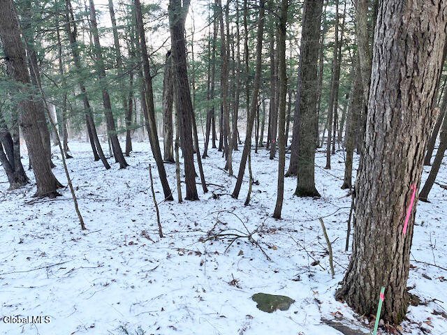 L29 Mountain Crest Road Warnerville NY 12187
