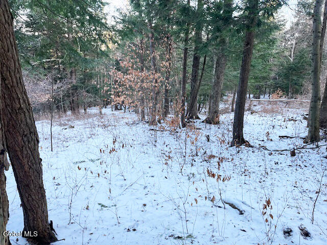 L29 Mountain Crest Road Warnerville NY 12187