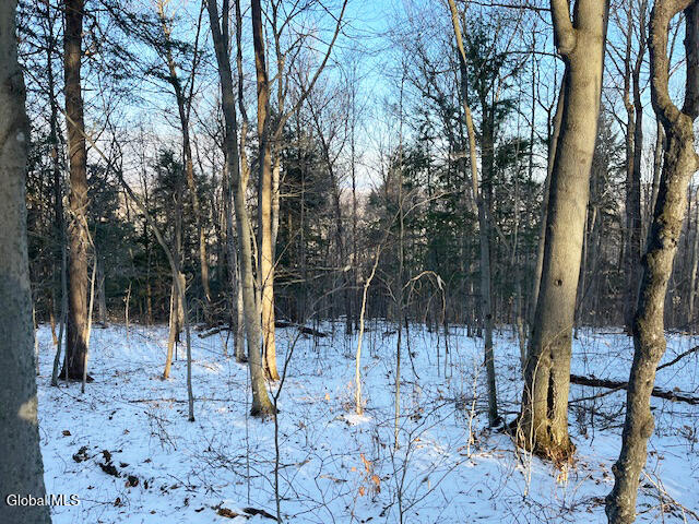 L29 Mountain Crest Road Warnerville NY 12187