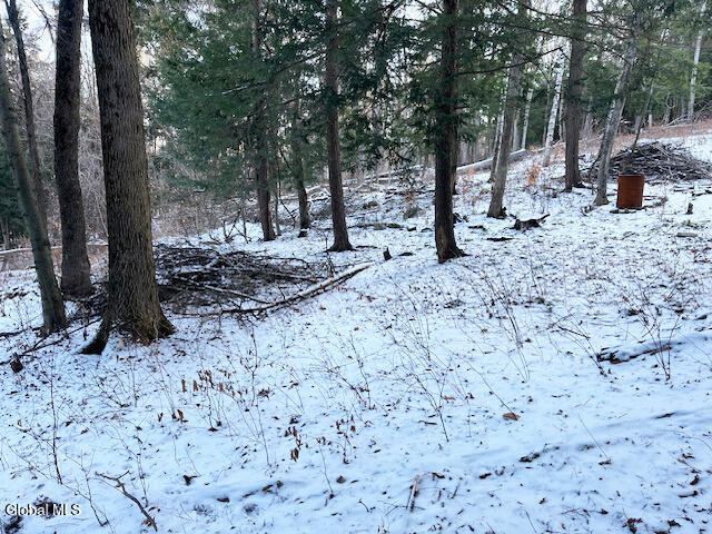 L29 Mountain Crest Road Warnerville NY 12187