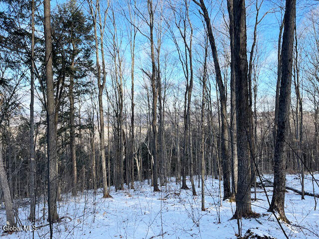 L29 Mountain Crest Road Warnerville NY 12187