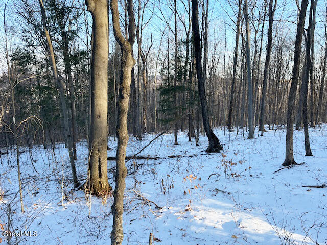 L29 Mountain Crest Road Warnerville NY 12187