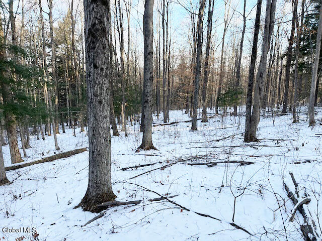 L29 Mountain Crest Road Warnerville NY 12187