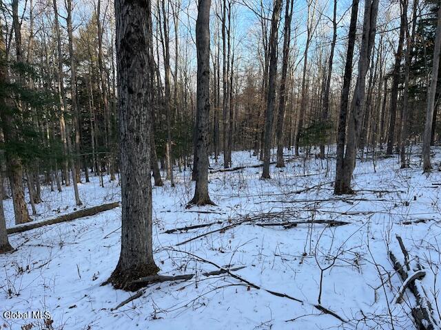 L29 Mountain Crest Road Warnerville NY 12187