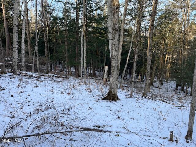 L29 Mountain Crest Road Warnerville NY 12187