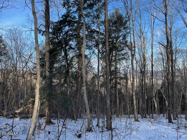 L29 Mountain Crest Road Warnerville NY 12187