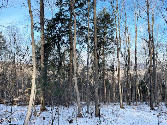 L29 Mountain Crest Road Warnerville NY 12187