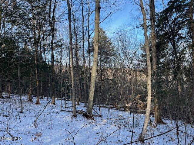 L29 Mountain Crest Road Warnerville NY 12187