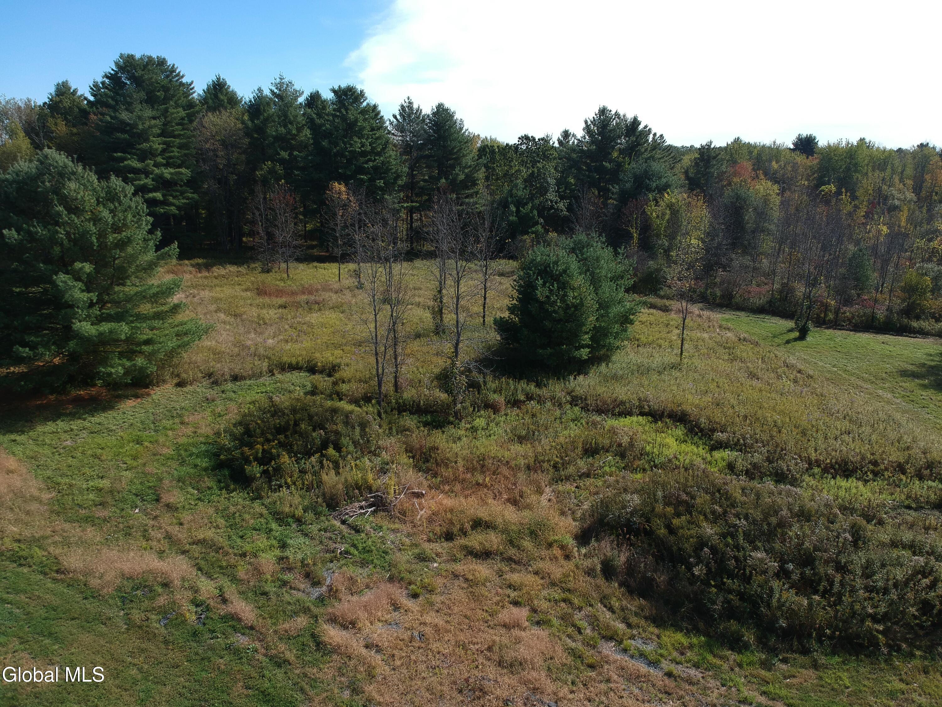4 Vittorio Trail Ballston Lake NY 12019