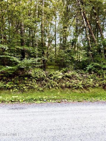 356 Dickinson Hill Road Bolton NY 12824