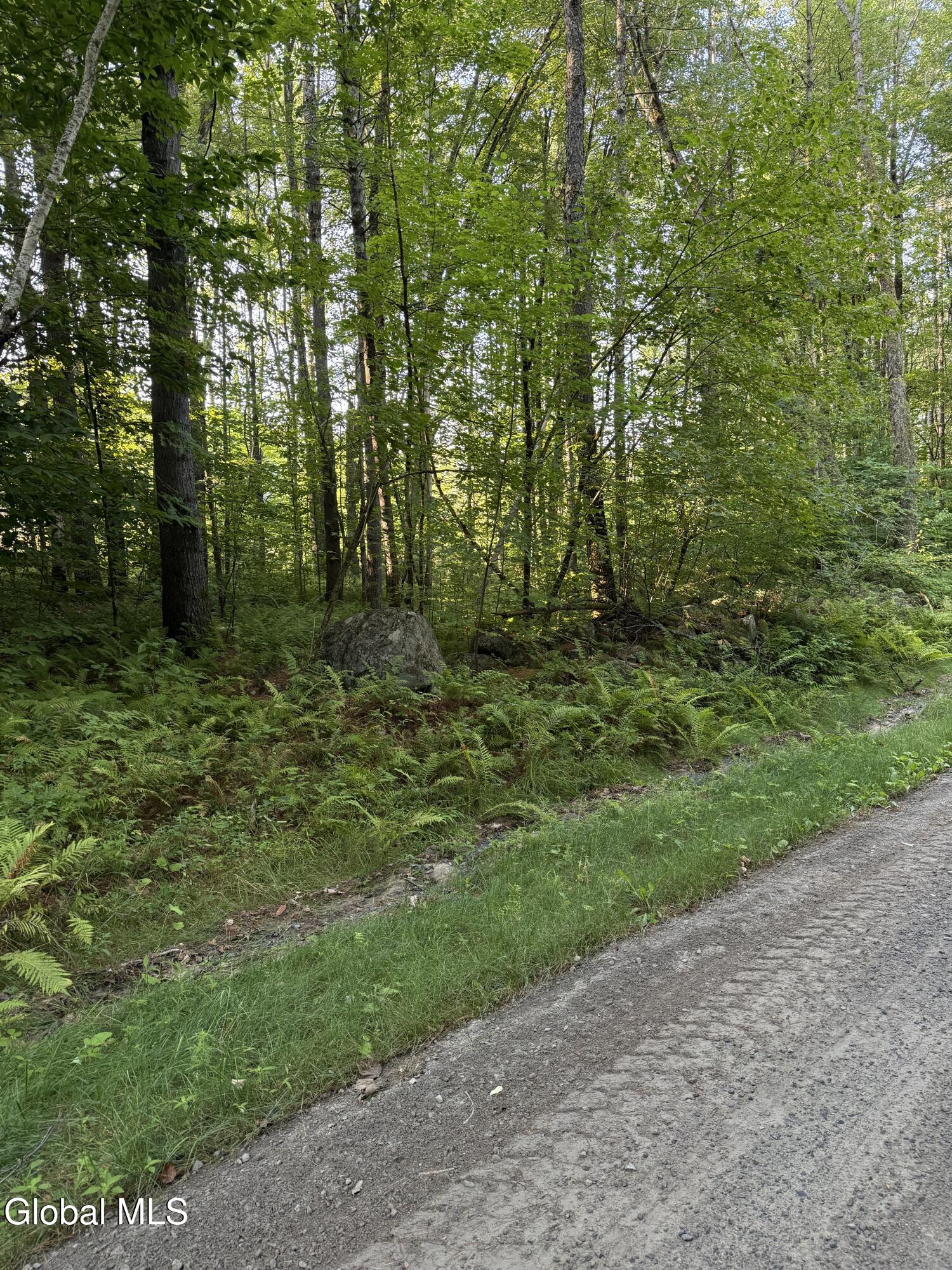 356 Dickinson Hill Road Bolton NY 12824