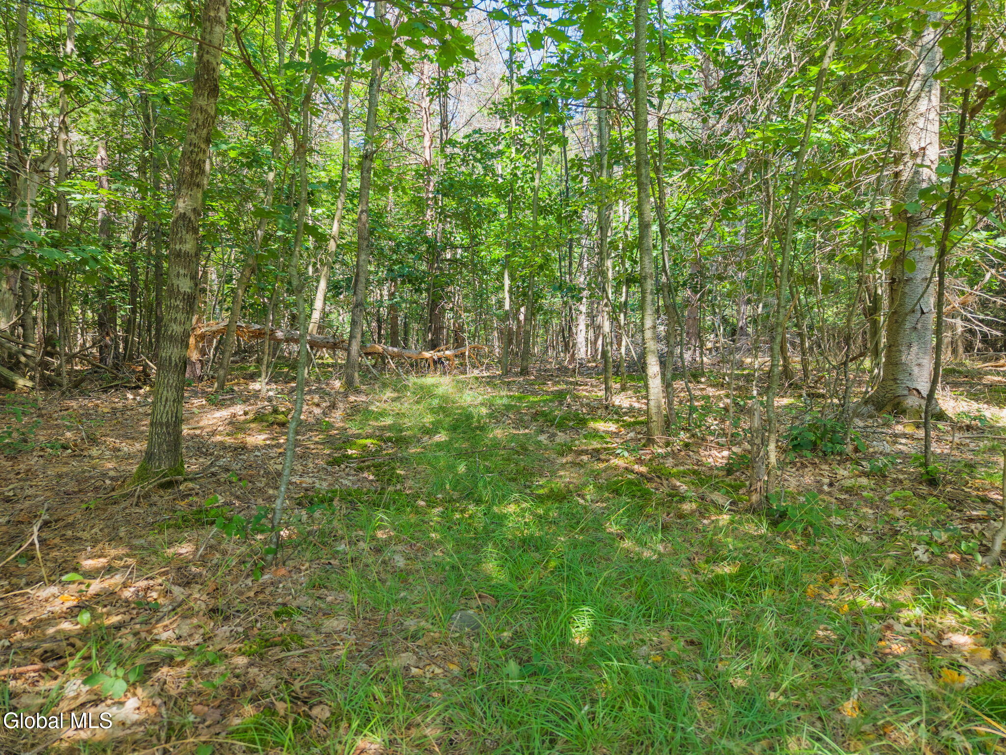533 Willsie Road East Berne NY 12059