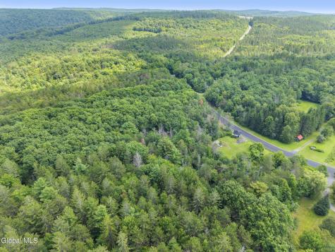 533 Willsie Road East Berne NY 12059