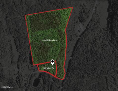 533 Willsie Road East Berne NY 12059