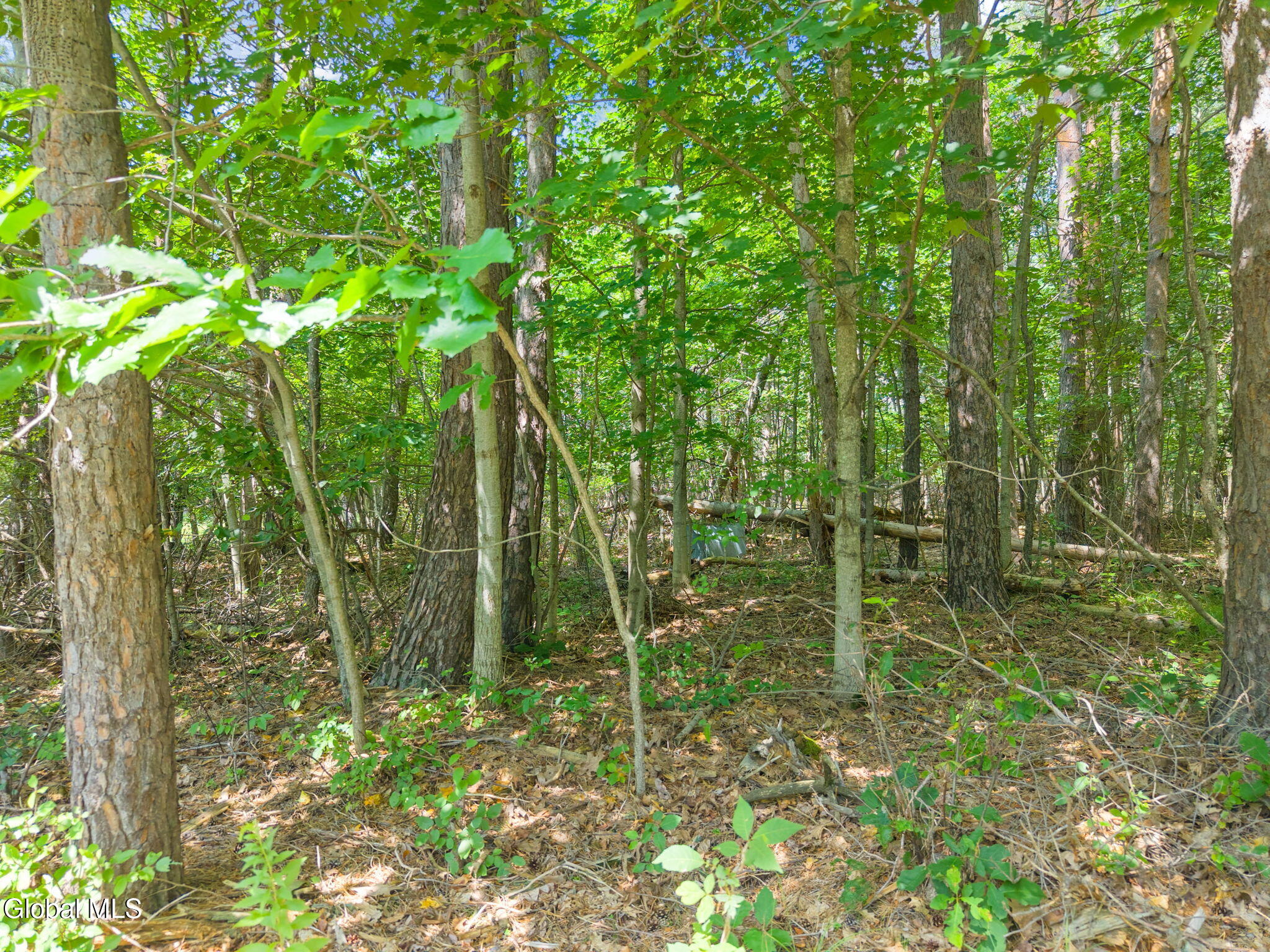 533 Willsie Road East Berne NY 12059