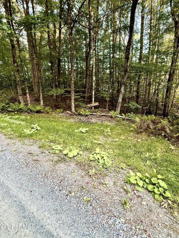 342 Dickinson Hill Road Bolton NY 12824