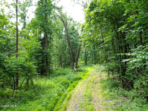 111 Blossom Hill Road Coeymans NY 12143