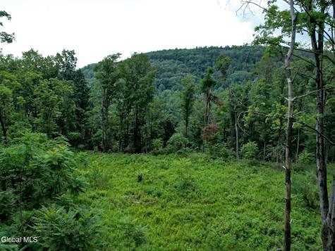 111 Blossom Hill Road Coeymans NY 12143