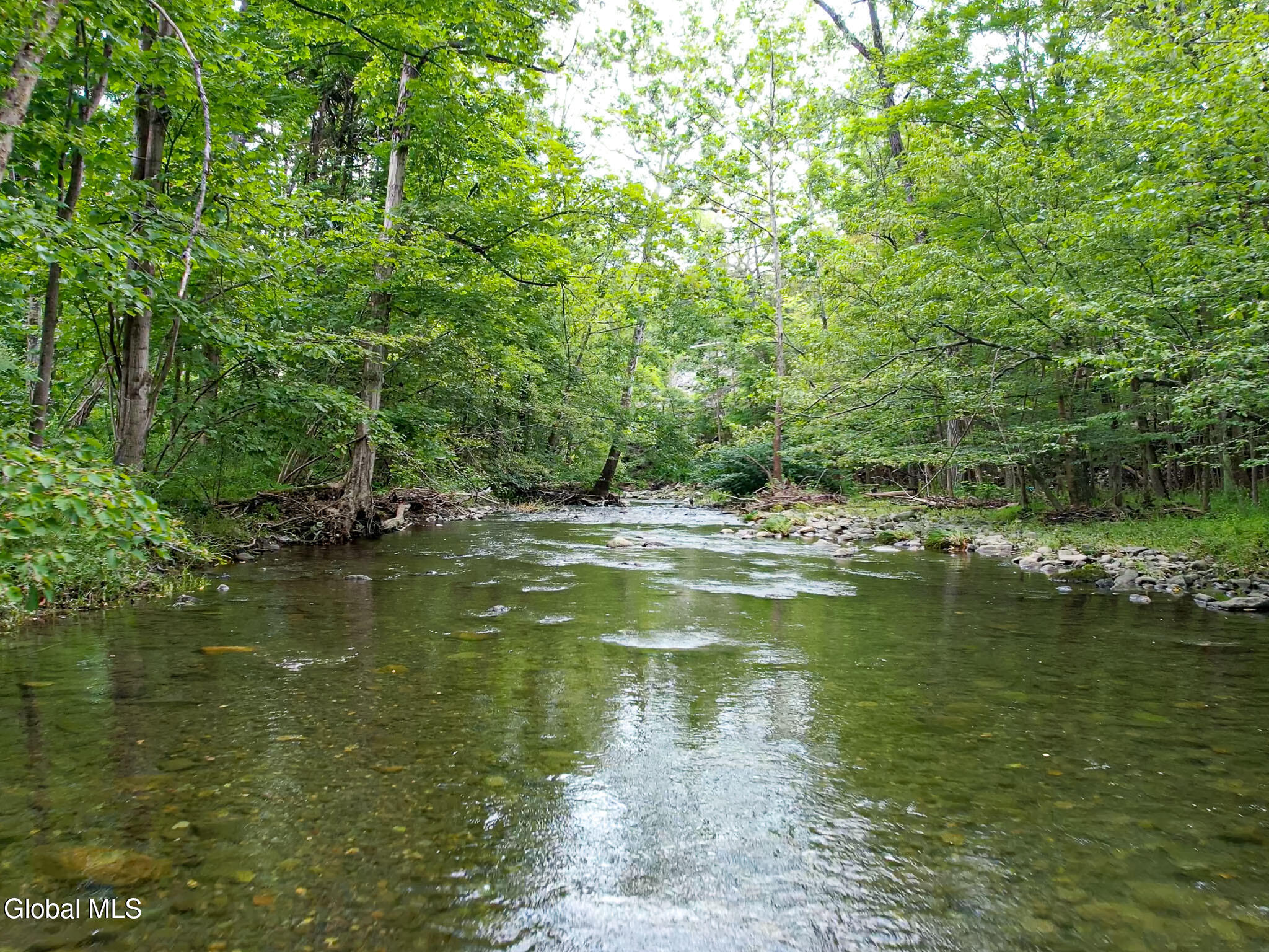 111 Blossom Hill Road Coeymans NY 12143