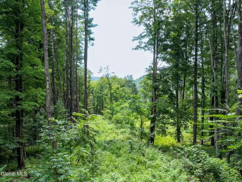 111 Blossom Hill Road Coeymans NY 12143