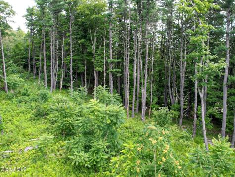 111 Blossom Hill Road Coeymans NY 12143