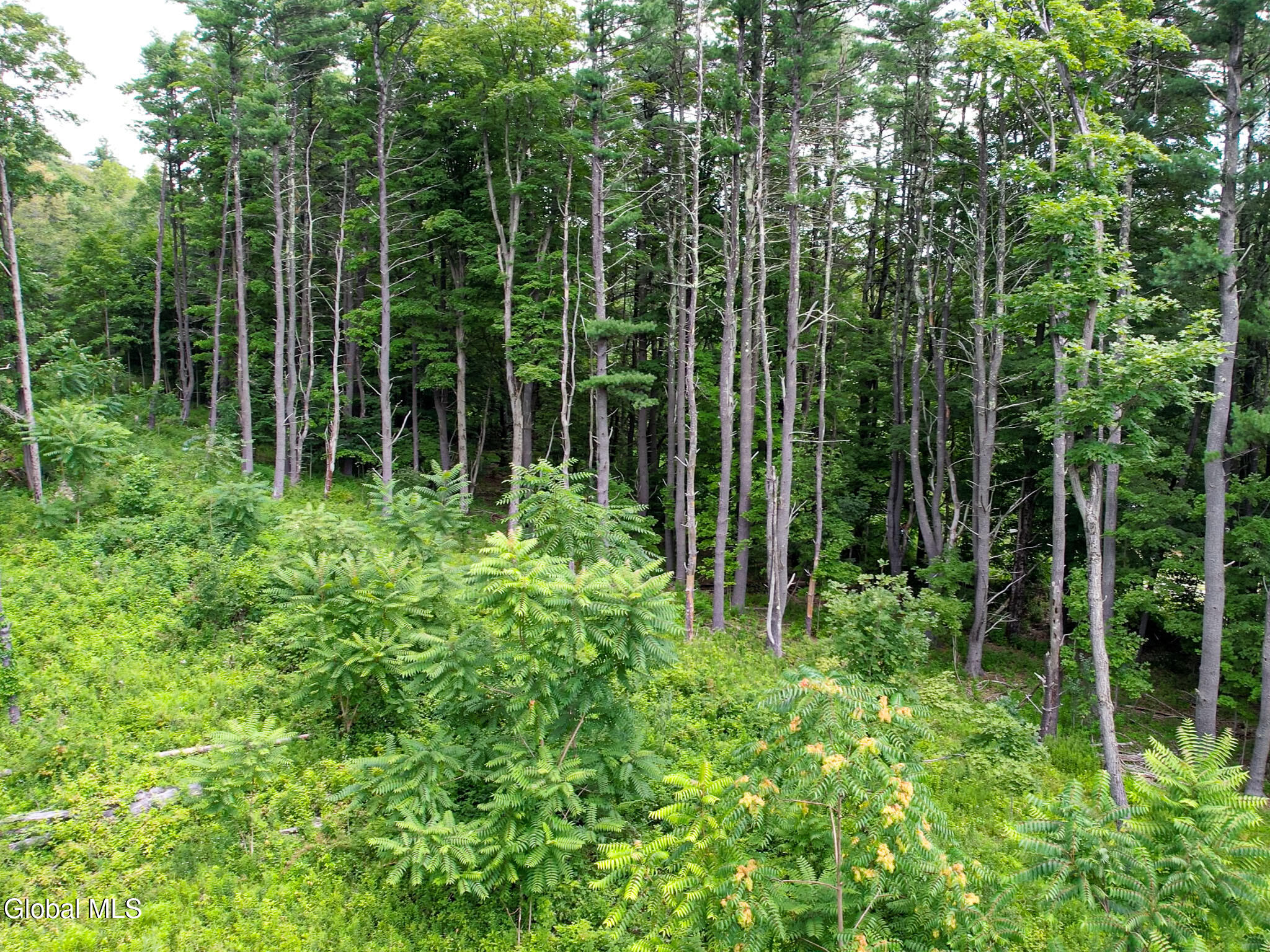 111 Blossom Hill Road Coeymans NY 12143