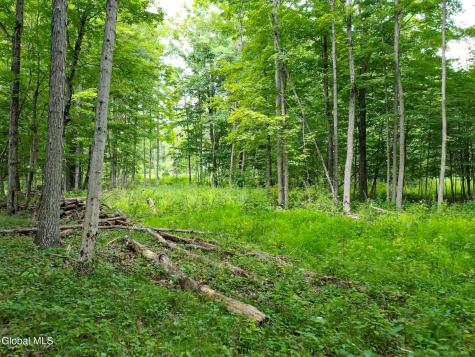111 Blossom Hill Road Coeymans NY 12143