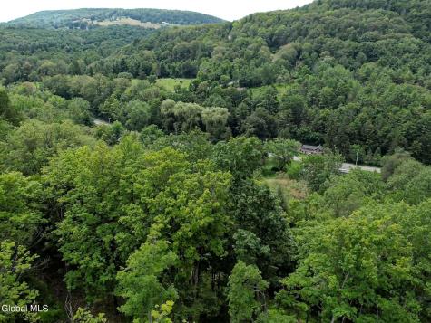 111 Blossom Hill Road Coeymans NY 12143