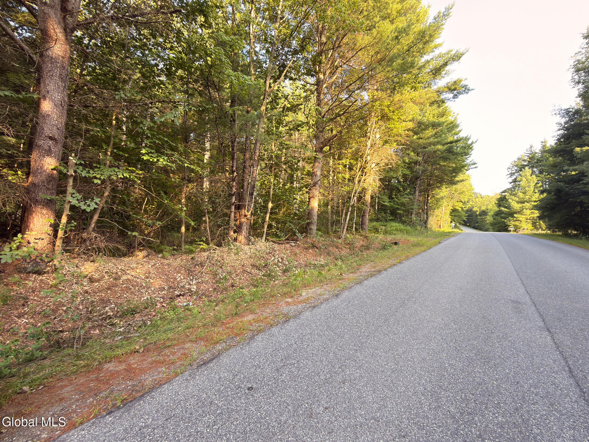 L53 Potter Hollow Road Galway NY 12074