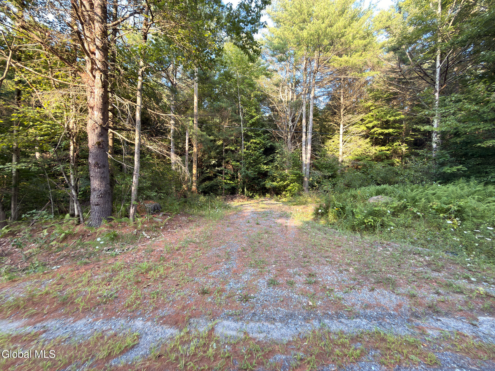 L53 Potter Hollow Road Galway NY 12074