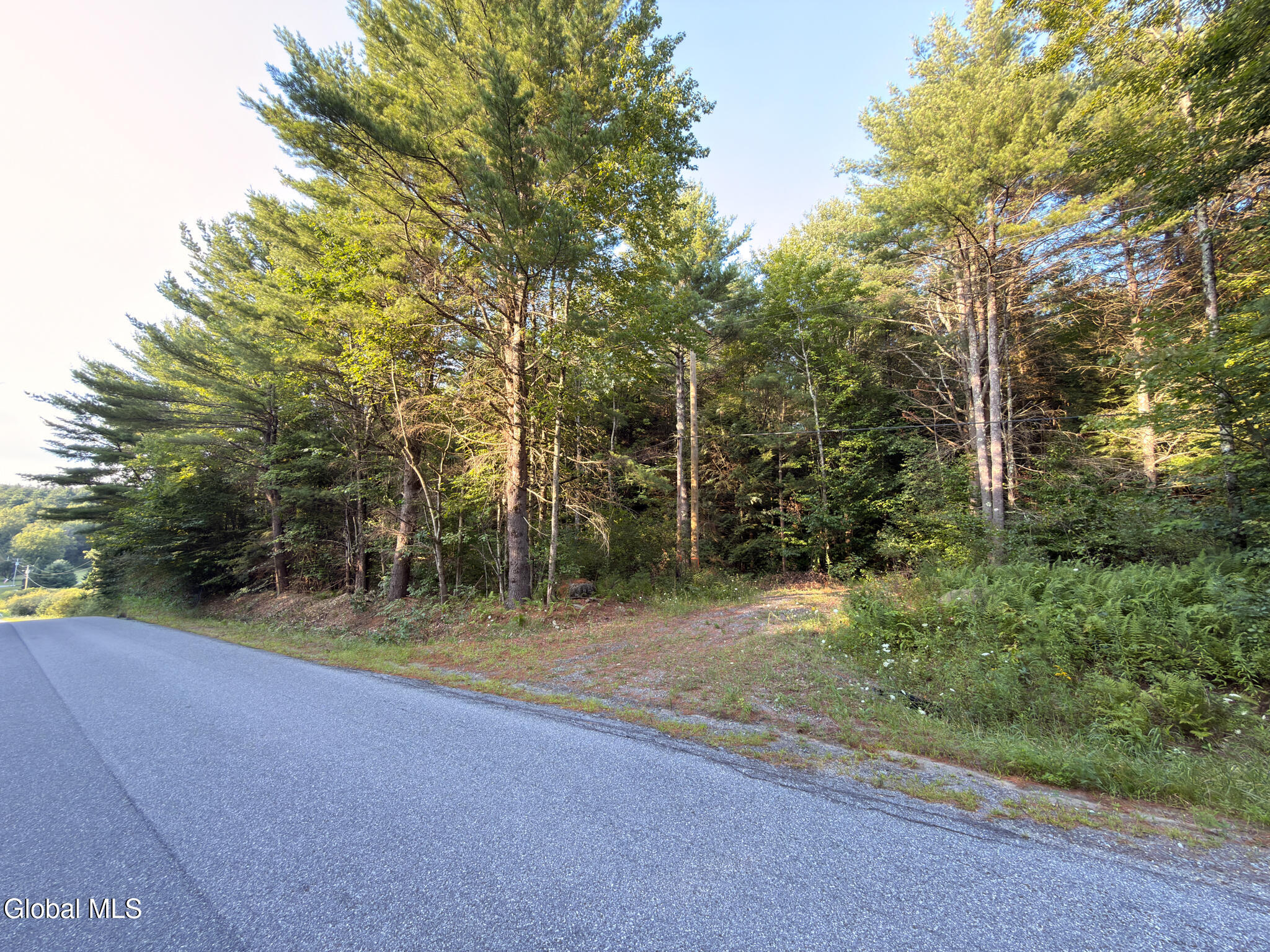 L53 Potter Hollow Road Galway NY 12074