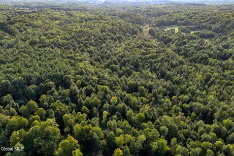 L53 Potter Hollow Road Galway NY 12074