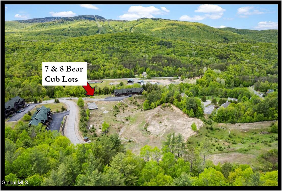 7 & 8 Bear Cub Drive North Creek NY 12853