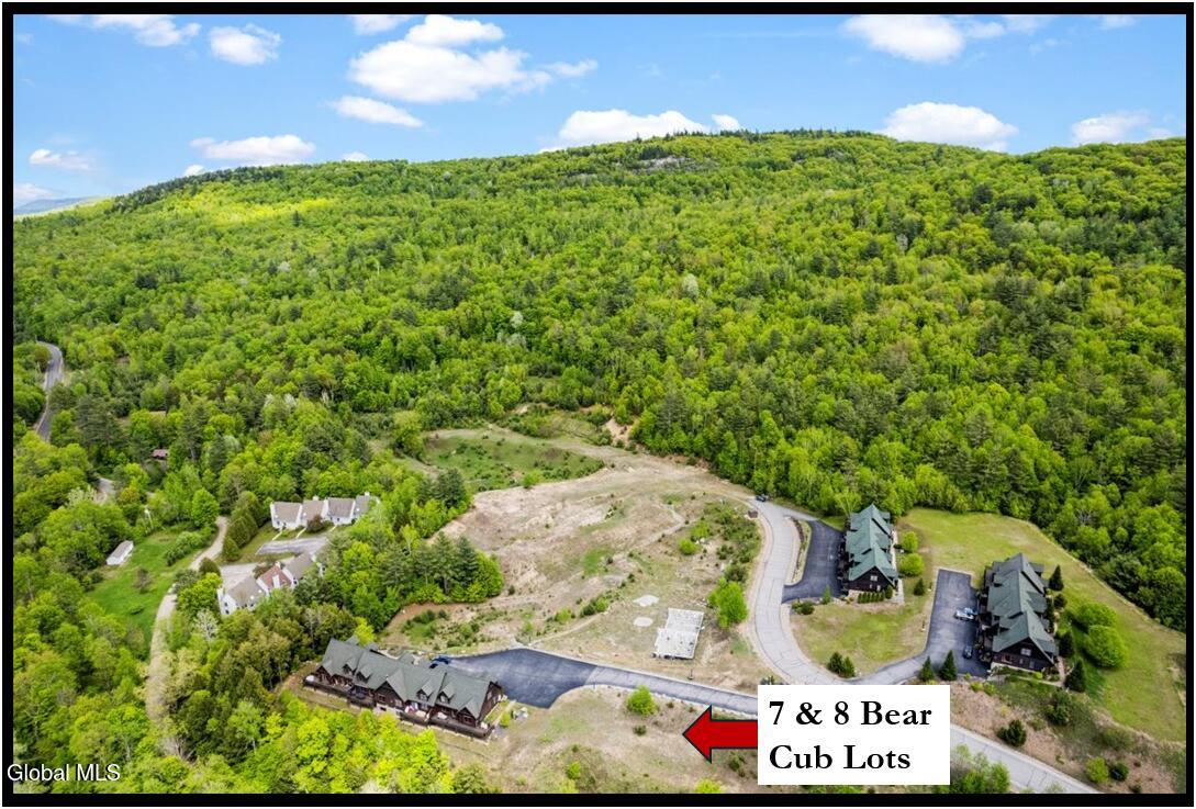 7 & 8 Bear Cub Drive North Creek NY 12853
