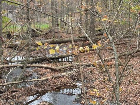 L24.1 Darfler Lane Hebron NY 12832