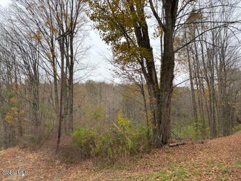 L24.1 Darfler Lane Hebron NY 12832