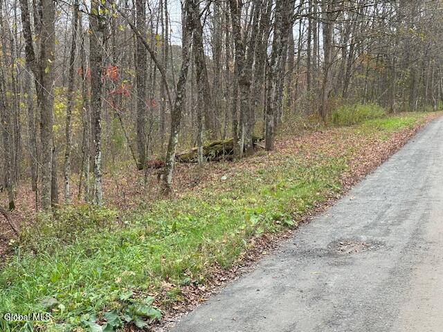 L24.1 Darfler Lane Hebron NY 12832