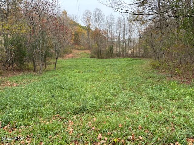 L24.1 Darfler Lane Hebron NY 12832