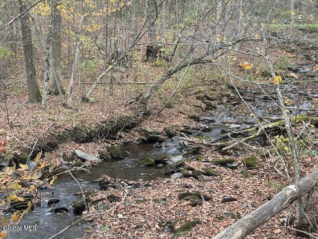 L24.1 Darfler Lane Hebron NY 12832