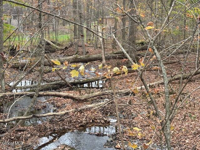 L24.1 Darfler Lane Hebron NY 12832